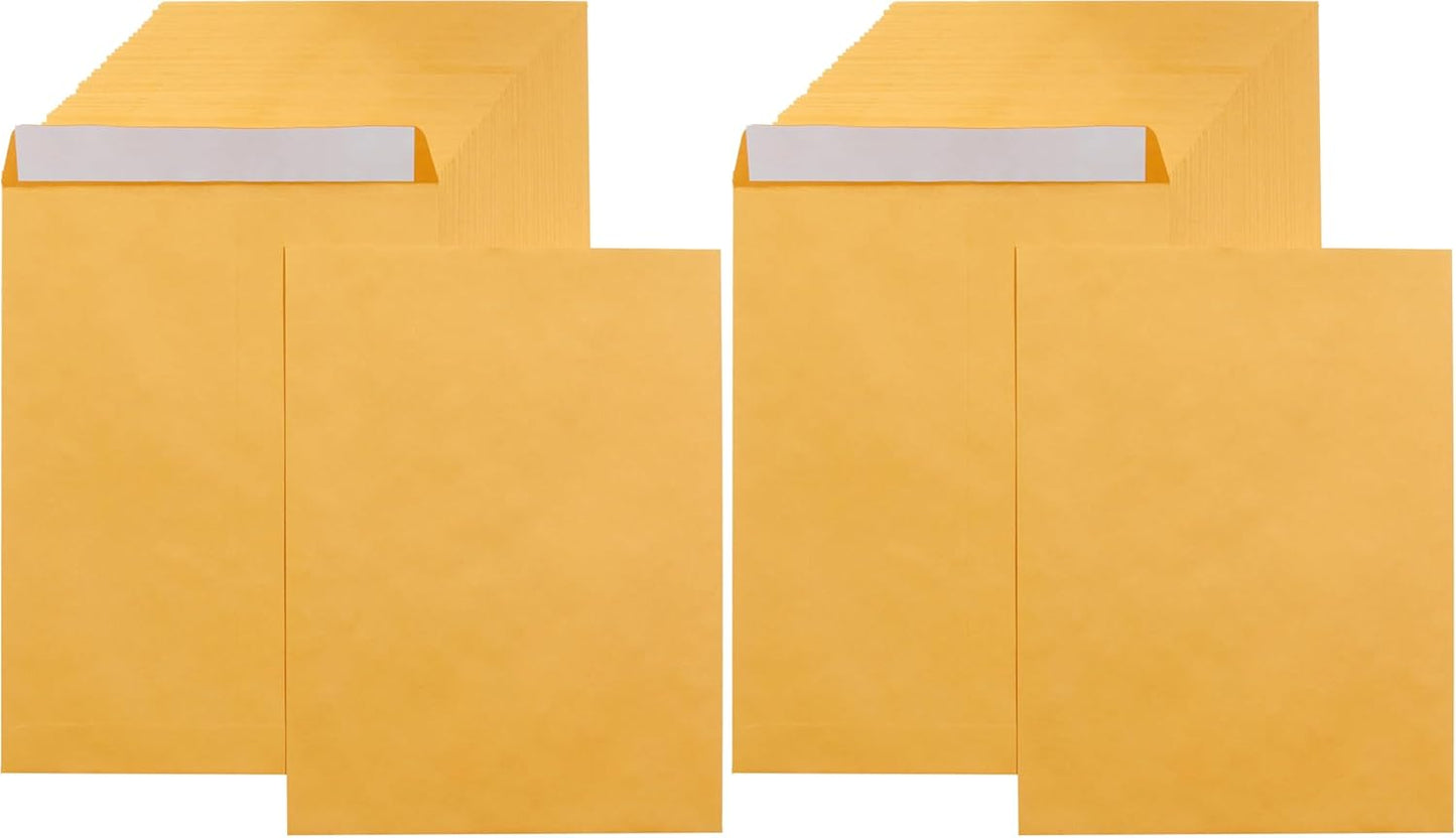 Amazon Basics Catalog Mailing Envelopes, Peel and Seal, 9" x 12", Brown Kraft, 100-Pack