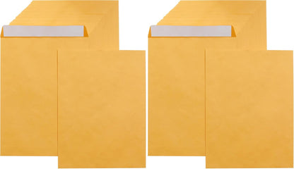 Amazon Basics Catalog Mailing Envelopes, Peel and Seal, 9" x 12", Brown Kraft, 100-Pack