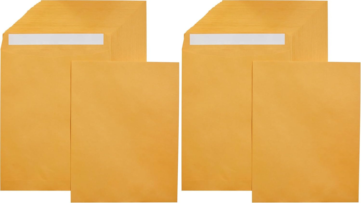 Amazon Basics Catalog Mailing Envelopes, Peel and Seal, 9" x 12", Brown Kraft, 100-Pack