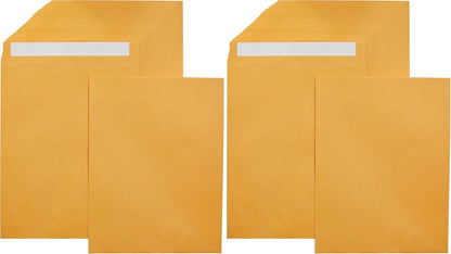 Amazon Basics Catalog Mailing Envelopes, Peel and Seal, 9" x 12", Brown Kraft, 100-Pack