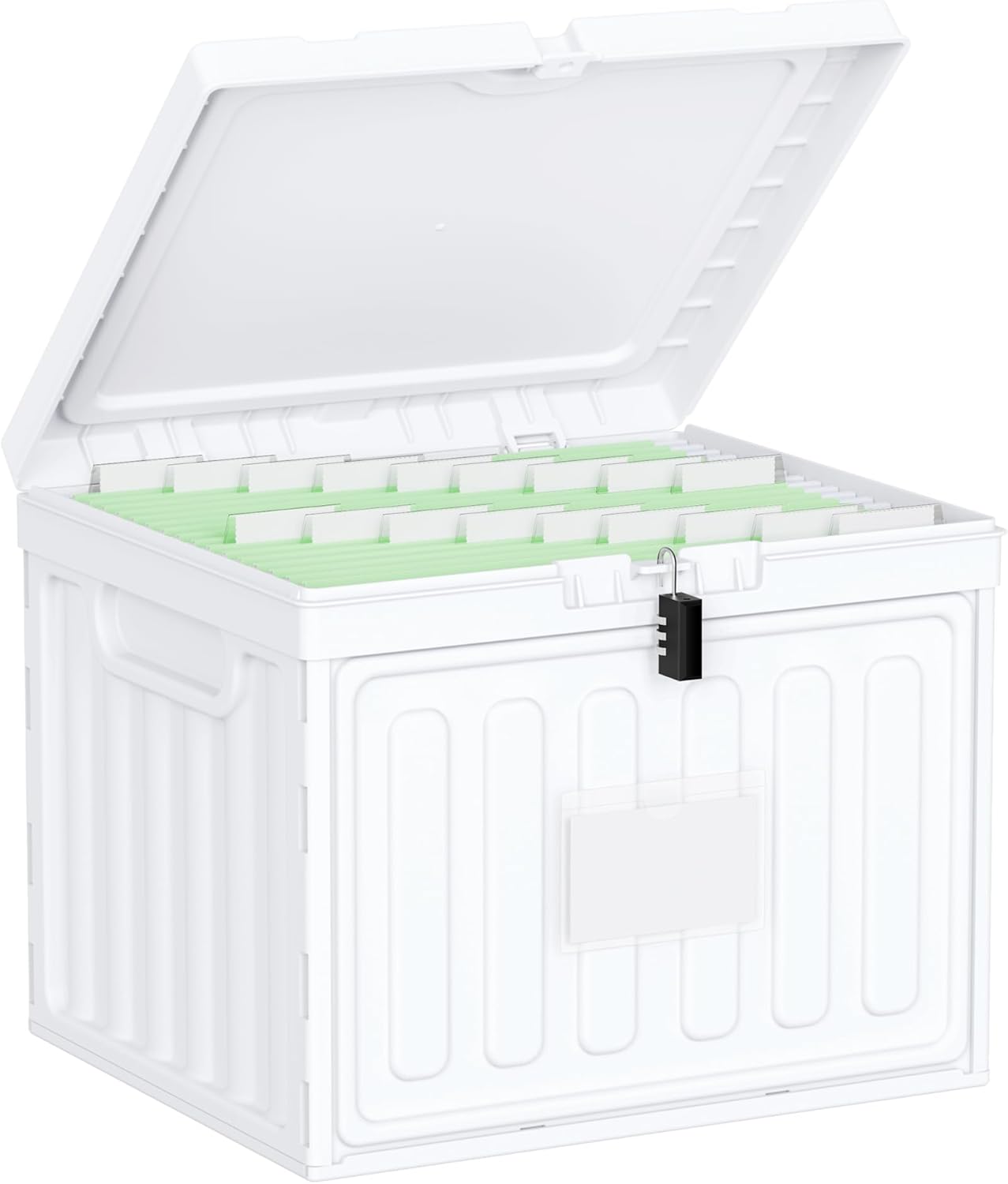 Oterri Plastic File Box with Lid for Letter Size Hanging File Folders, Hanging File Folder Box for Home, Office, School, File Cabinet, Assembly File Organizer, Pink，Large-1 Pack Without Folders