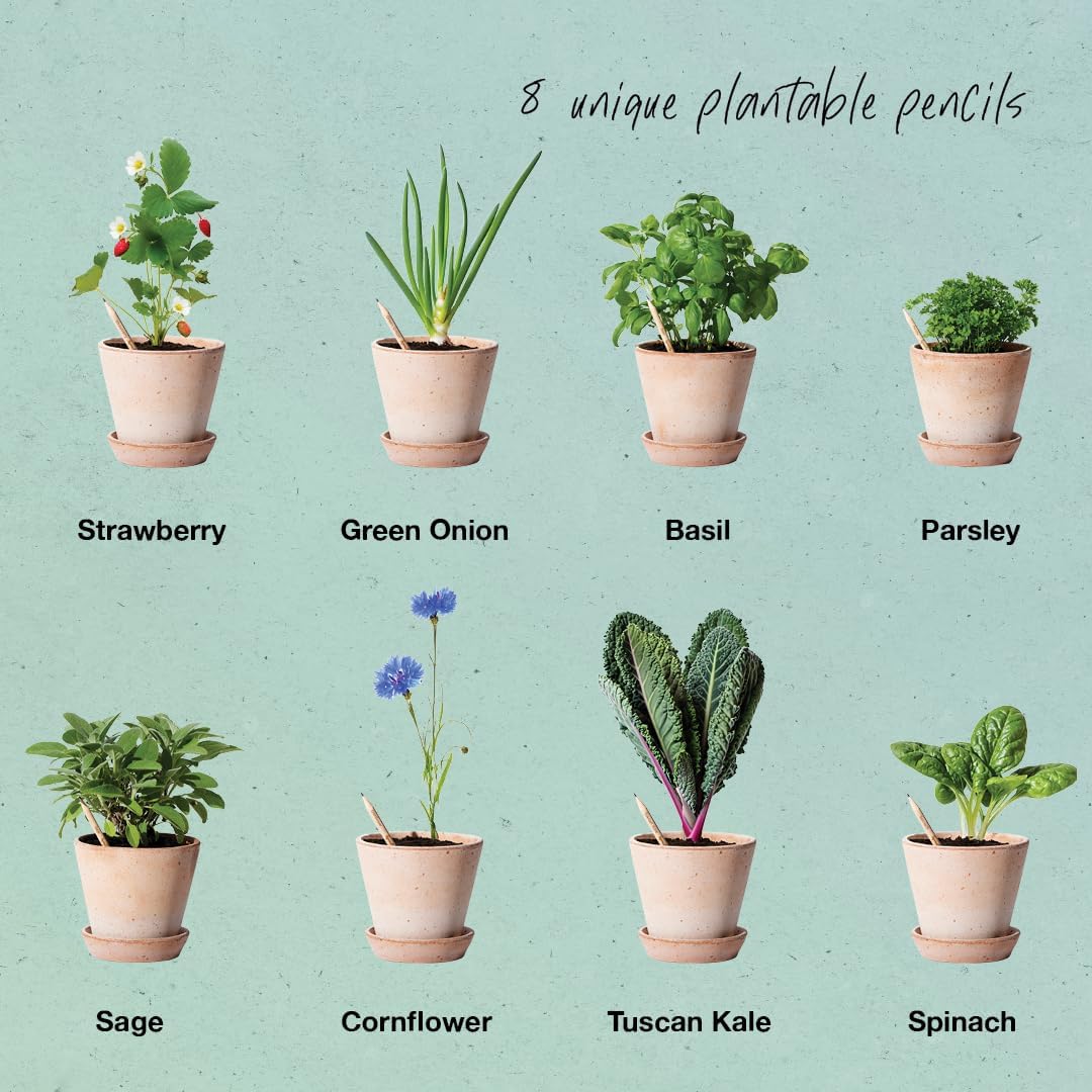 SproutWorld Wood-Cased Pencils | Mindful Thoughts Edition | HB Pre-Sharpened Graphite Plantable Wooden Pencils with Flower, Herb & Vegetable Seeds | Gift with Inspirational Quotes | 8 Pack
