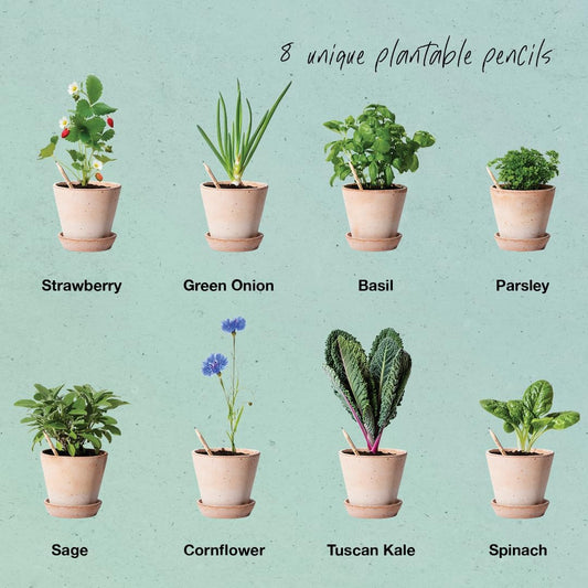 SproutWorld Wood-Cased Pencils | Mindful Thoughts Edition | HB Pre-Sharpened Graphite Plantable Wooden Pencils with Flower, Herb & Vegetable Seeds | Gift with Inspirational Quotes | 8 Pack