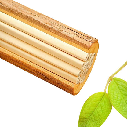 Buspoll 10 Stick HB Pencils Unpainted Natural Wood Grain Triangular for Kids Stationery