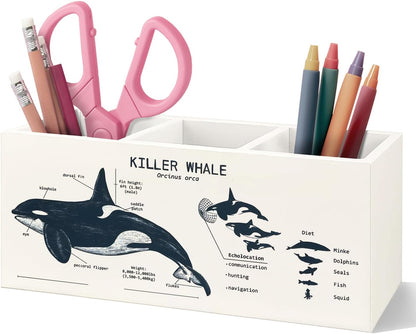 Killer Whale Gifts Wooden Pen Pencil Holder, Whale Shark Gifts for Ocean Lovers, Marine Biology Wooden Makeup Brush Organizer