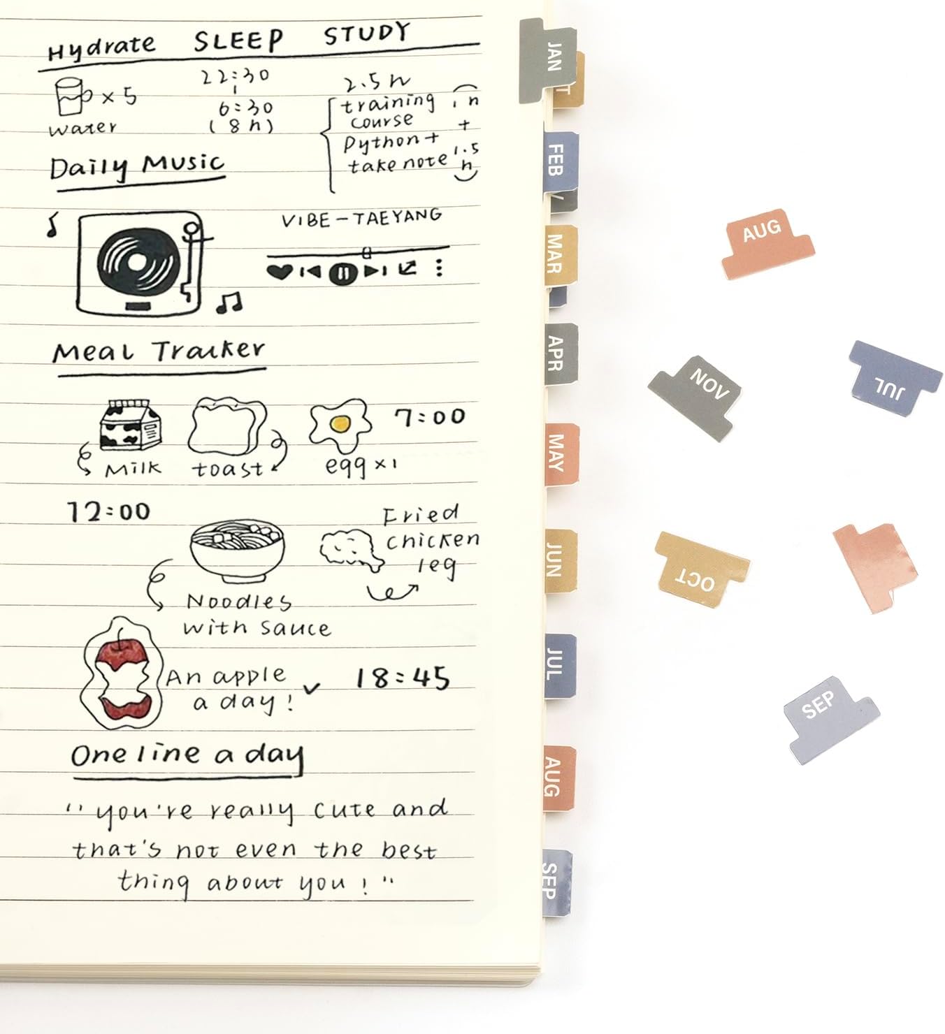 Lumintutu Laminated Planner Monthly Stickers,40 Adhesive Plan Tabs for Notebooks (2 Sets 12 Month Tabs and 16 Blank Tabs), Calendar Monthly Divider Set (Cappuccino)