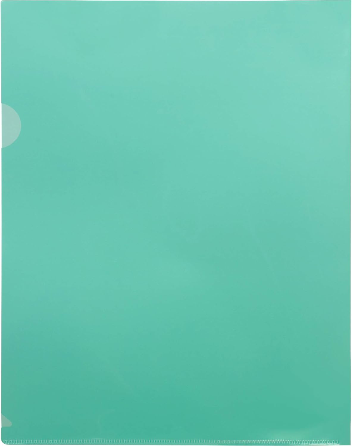 Business Source Green Transparent Poly File Holders