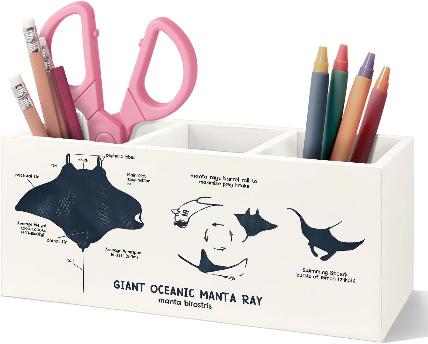 Killer Whale Gifts Wooden Pen Pencil Holder, Whale Shark Gifts for Ocean Lovers, Marine Biology Wooden Makeup Brush Organizer