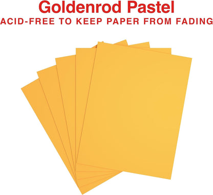 Staples Pastel Colored Copy Paper 8 1/2-Inch x 11-Inch Pink 500/Ream, For Office, School & Home