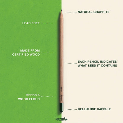 SproutWorld Wood-Cased Pencils | Teacher's Edition | HB Pre-Sharpened Graphite Plantable Wooden Pencils with flower, Herb & Vegetable Seeds | Gift for Teachers | 32 Pack