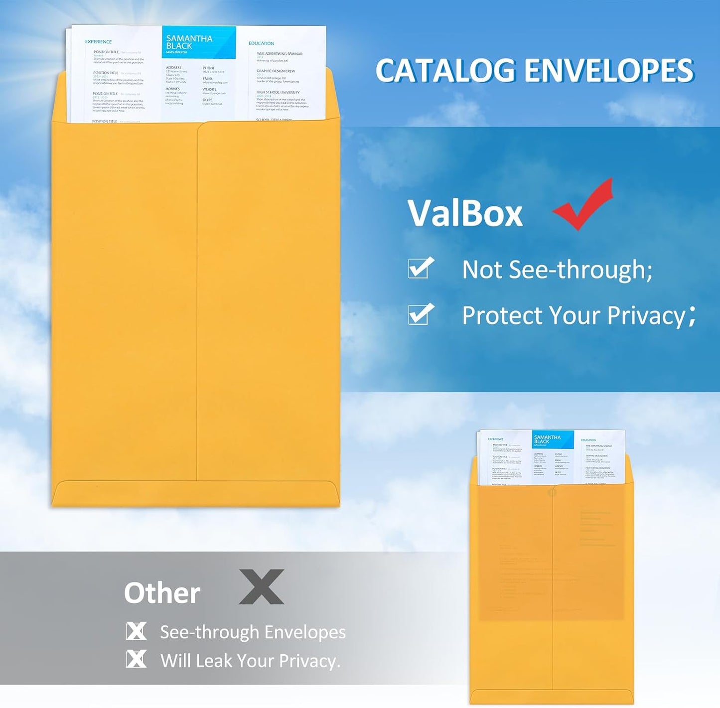 ValBox 6x9 Self Seal Security Catalog Envelopes 250 Count Small White Envelopes for Mailing, Storage and Organizing
