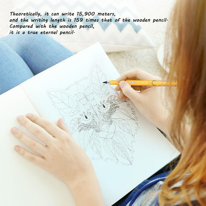 Ainiv Inkless Pencil with Eraser - 5 Sets Infinity Pencil, Reusable with Extra 5 Eraser & 5 Replaceable Nibs for Home, Office & School Writing, Drawing