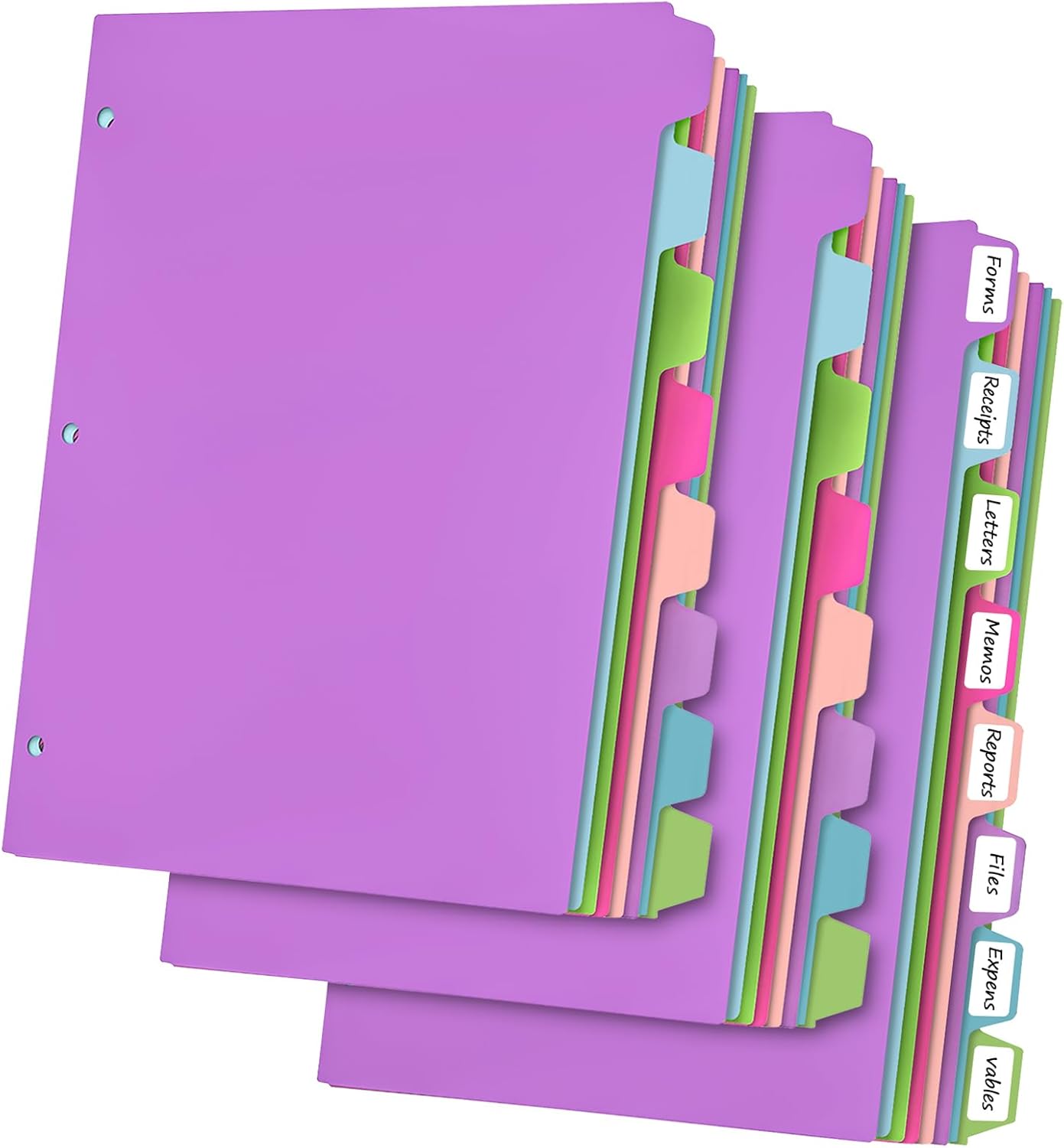 habgp 16Pcs/2 Set Binder Dividers with Tabs, 8 Color Tab for 3 Ring Binder Dividers, Page Folder Dividers for 3 Ring Binder Sheet Paper Protectors, Plastic Tabbed File Dividers with Tabs S099
