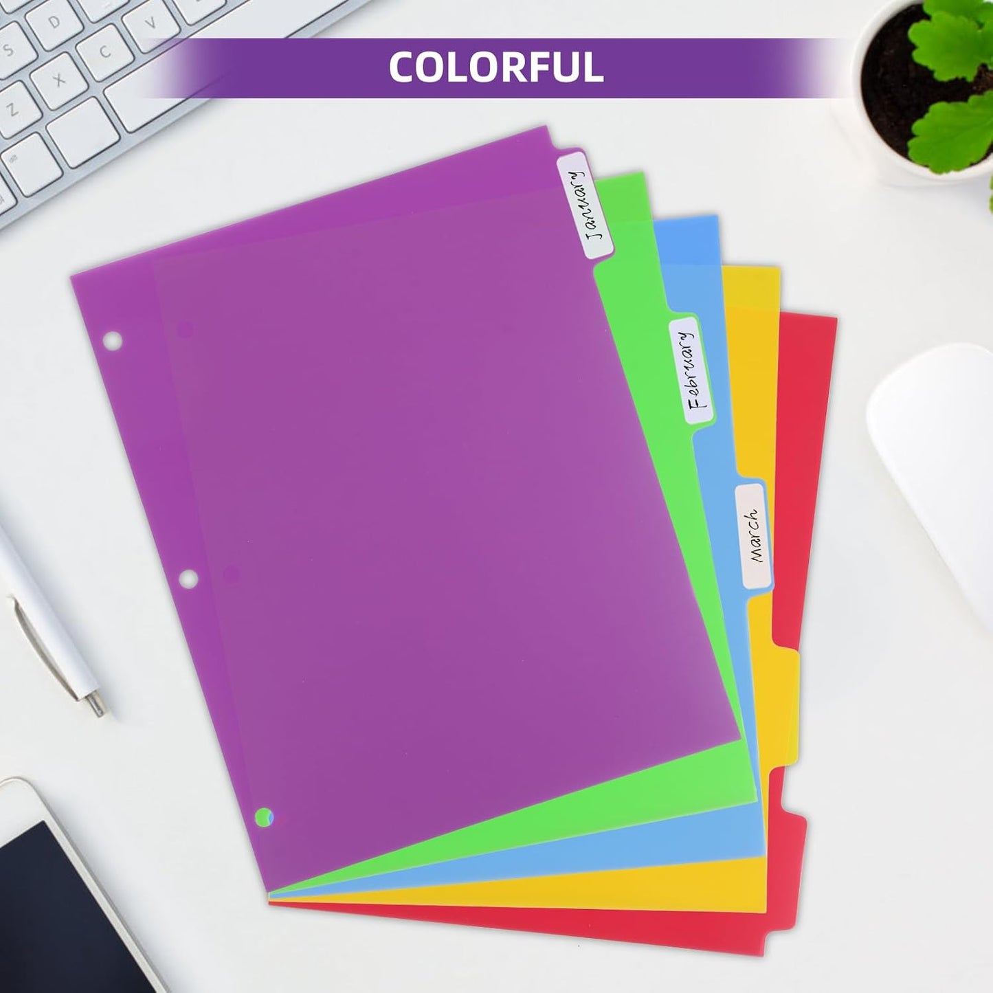 3 Set Plastic Binder Dividers with Tabs,Multicolor Index with 8-Tabs,Divider for 3 Ring Binder