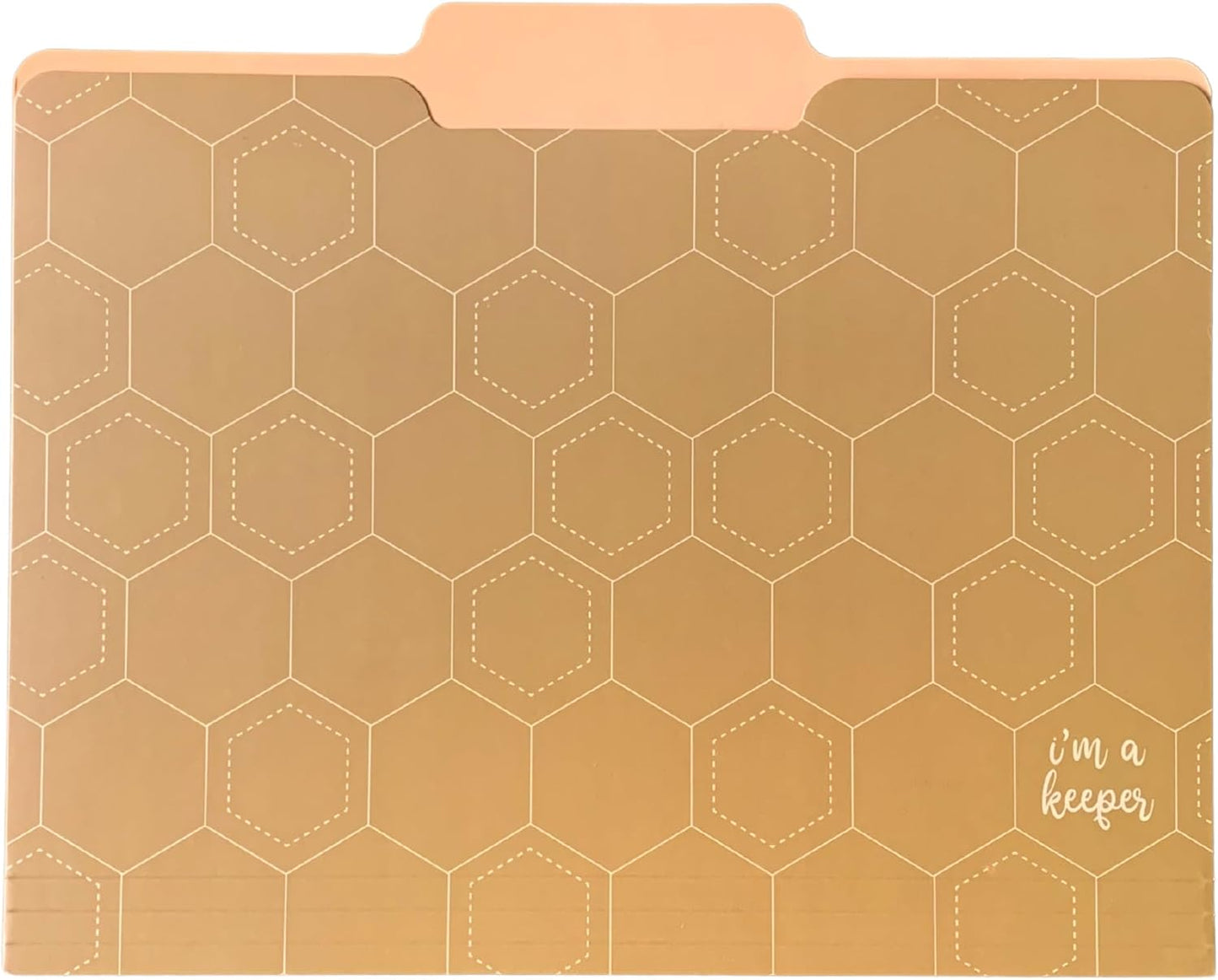 Steel Mill & Co Cute File Folders, Set of 9, Document Organizer for Filing Cabinet, Decorative Letter Size Files, Wanderlust