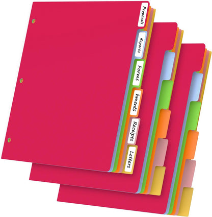 HABGP 12Pcs/2 Set 6 Tab Dividers for 3 Ring Binder, 12 Pcs Colorful Binder Dividers with Tabs, 3 Ring Page Folder Dividers, Plastic Tabbed File Dividers with Tabs, Three Ring Binder Index Dividers