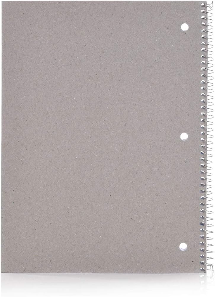 Mintra Office Spiral Notebooks, Wirebound, Journals for School, Work, Business, Aesthetic Stationery, Writing Pads, Teacher & Student Supplies (6, Pastel, College)