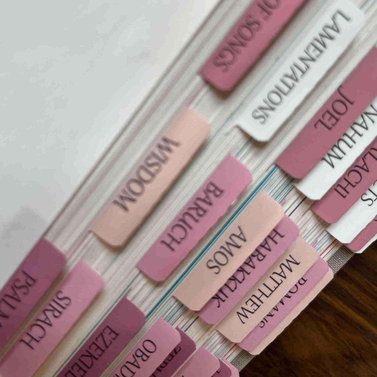 Thinkor- Repositionable Bible Tabs, 66 Pink Theme Laminated Tabs for Women, Thinkor for Study Bible