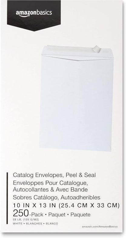 Amazon Basics Catalog Mailing Envelopes, Peel and Seal, 9" x 12", Brown Kraft, 100-Pack