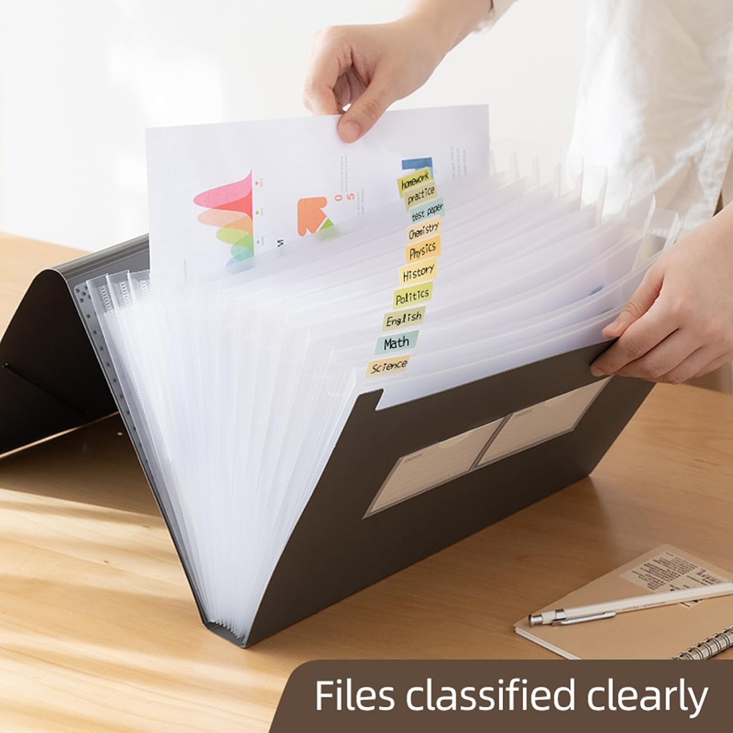 Expanding File Folder with Tabs, 13 Pockets File Organizer Accordion File Holder ，with Elastic Buckles Closure, A4 Paper Document Organizer for Home School Office (1, Transparent White)