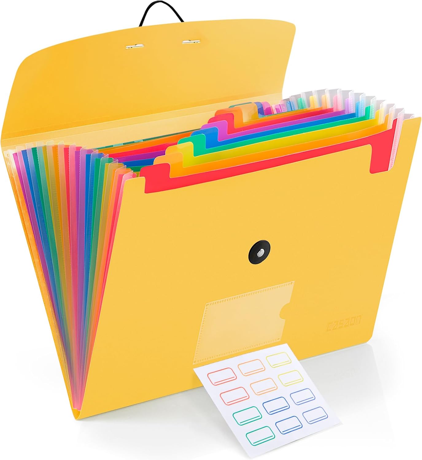 13 Pocket Expanding File Folder Accordian File Organizer, A4 Letter Size Paper Document Receipt Holder for School Office Supplies, Black