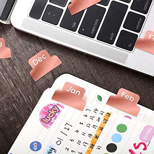 Outus 24 Pieces Monthly Adhesive Tabs for Planner - Designer Accessories Monthly Tabs Stickers Decorative for Office Planners Organizations Sturdy Notebook Planners Journal(Black)