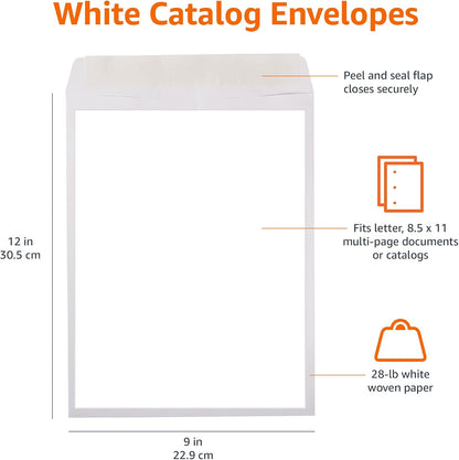 Amazon Basics Catalog Mailing Envelopes, Peel and Seal, 9" x 12", Brown Kraft, 100-Pack