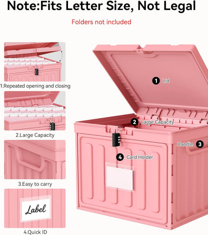 Oterri Plastic File Box with Lid for Letter Size Hanging File Folders, Hanging File Folder Box for Home, Office, School, File Cabinet, Assembly File Organizer, Pink，Large-1 Pack Without Folders