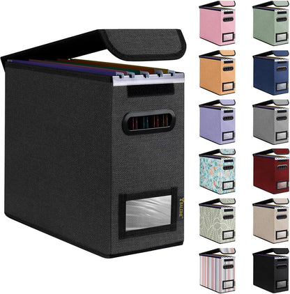 BALEINE File Organizer Box with Lid, Collapsible File Folder Organizer with Plastic Slide, Hanging File Folder Box for Office Document Storage (1 Pack, Black)