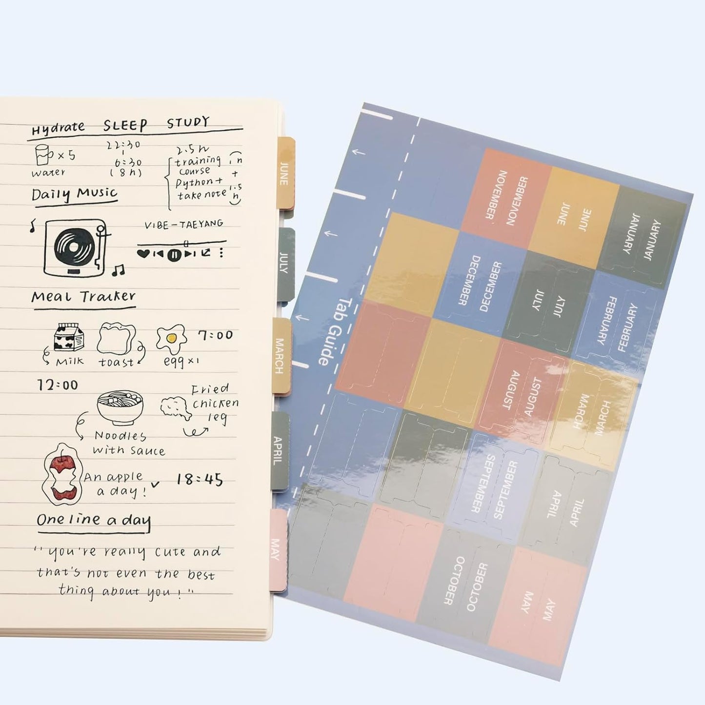 Lumintutu Laminated Planner Monthly Stickers,40 Adhesive Plan Tabs for Notebooks (2 Sets 12 Month Tabs and 16 Blank Tabs), Calendar Monthly Divider Set (Cappuccino)