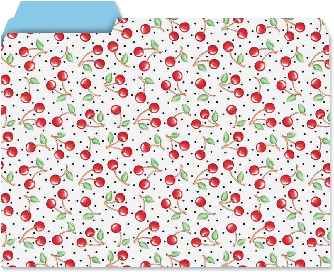 Current Floral Fun File Folders Value Pack - Bulk Set of 24, 6 Pretty Decorative Designs, 1/3 Cut Tabs, Heavy-Duty Paper Stock, Office Supplies for Home & Work, 9-½” x 11-¾” Letter Size