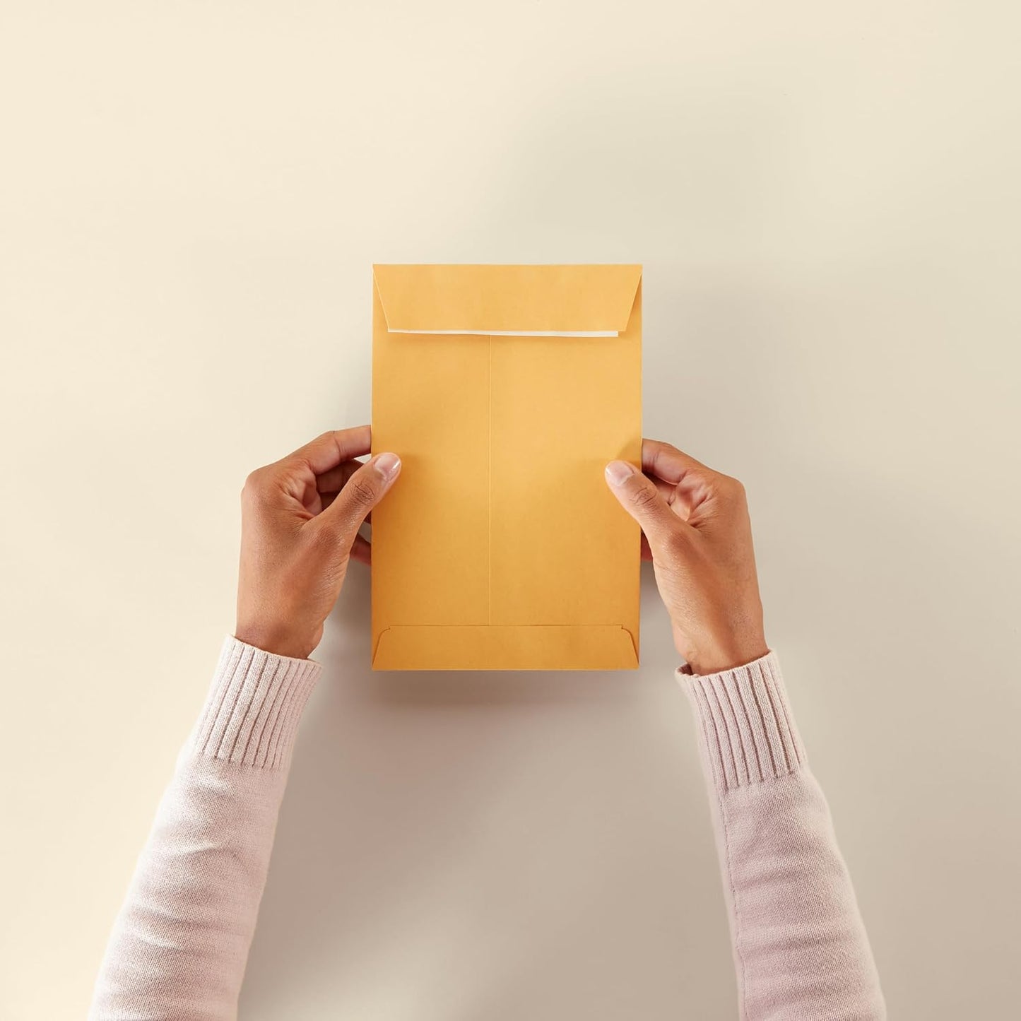 Amazon Basics Catalog Mailing Envelopes, Peel and Seal, 9" x 12", Brown Kraft, 100-Pack