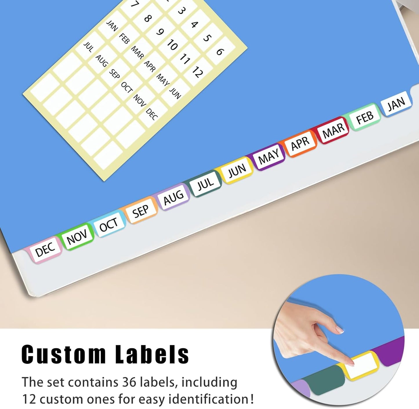 Binder Dividers with Tabs,Monthly Dividers for 3 Ring Binder,12 TABS,Customizable Table of Contents,Multicolor,1 Sets