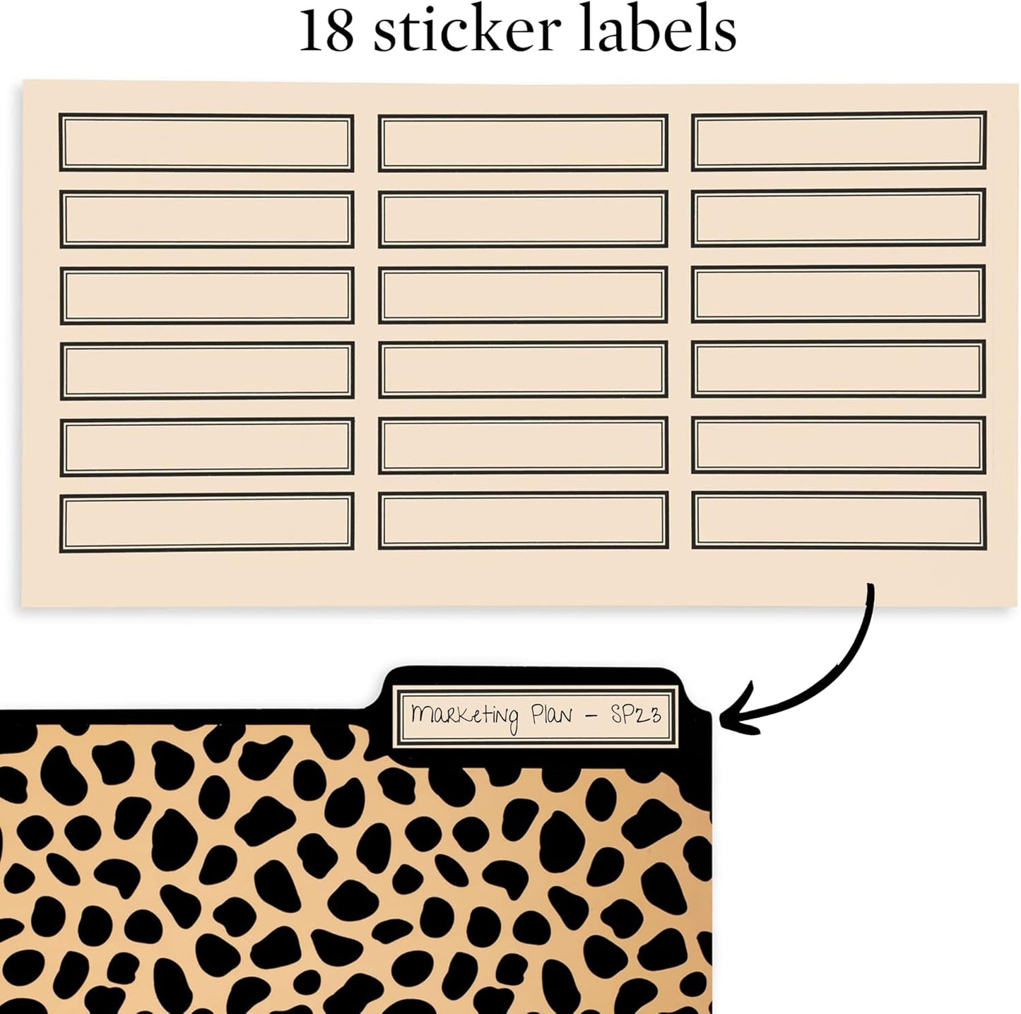 Steel Mill & Co Cute File Folders, Set of 9, Document Organizer for Filing Cabinet, Decorative Letter Size Files, Wanderlust