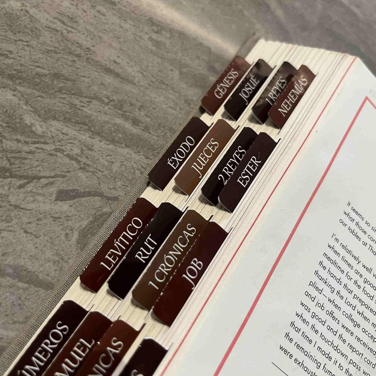 Thinkor Reposition Laminated Bible Tabs, Large Print Stickers, Easy to Read & Apply Bible Tabs for Women & Man (Earthy Brown)