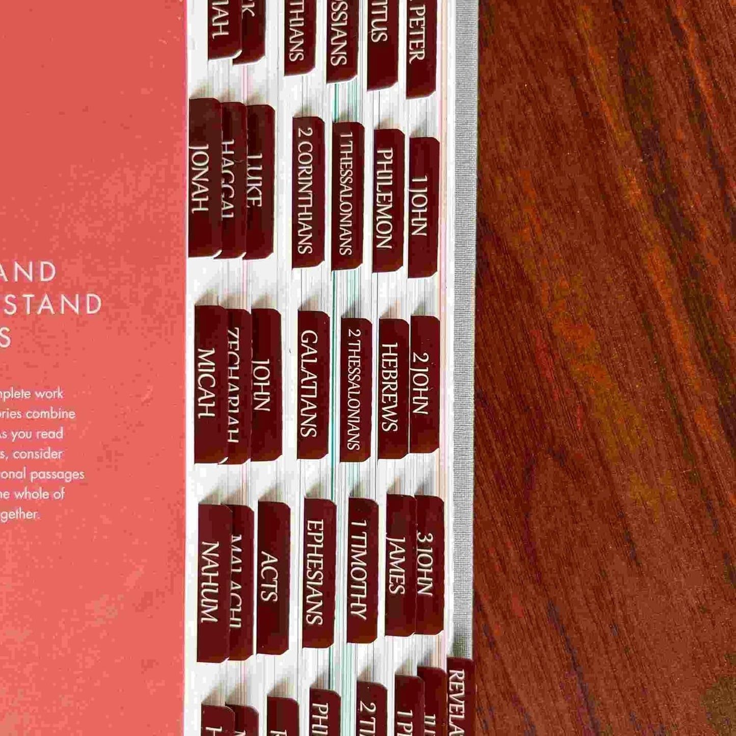Thinkor Reposition Laminated Bible Tabs, Large Print Stickers, Easy to Read & Apply Bible Tabs for Women & Man (Earthy Brown)