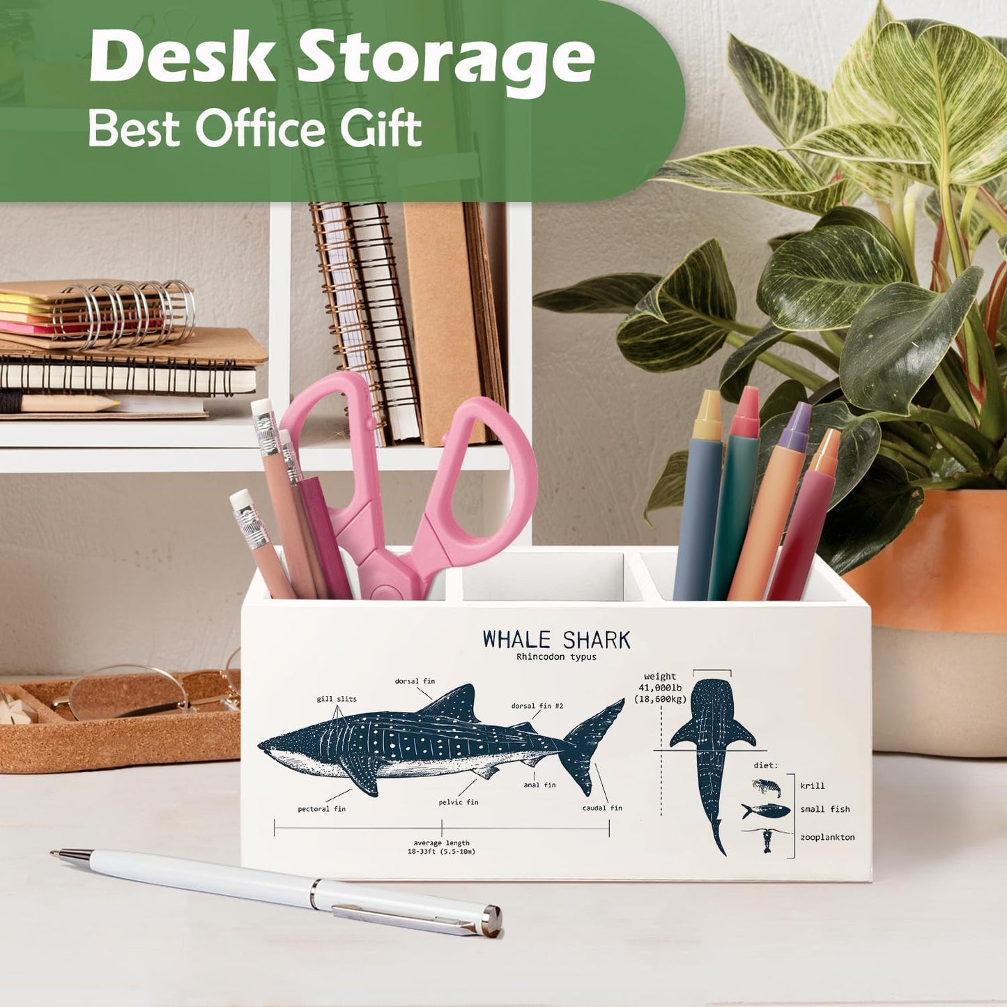 Killer Whale Gifts Wooden Pen Pencil Holder, Whale Shark Gifts for Ocean Lovers, Marine Biology Wooden Makeup Brush Organizer