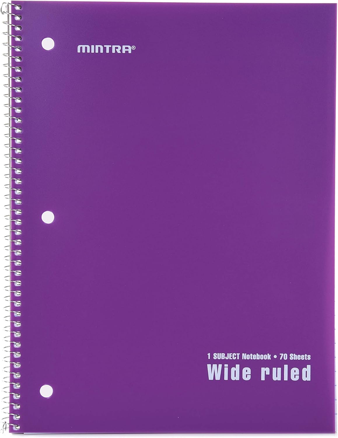 Mintra Office Spiral Notebooks, Wirebound, Journals for School, Work, Business, Aesthetic Stationery, Writing Pads, Teacher & Student Supplies (6, Pastel, College)