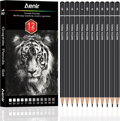 Aenir Sketch Pencils for Drawing, Set of 12 Drawing Pencils for Sketching Medium (6B - 4H), Artist Graphite Pencils, Sketch Set for Artists for Sketching Supplies, Art Supplies.