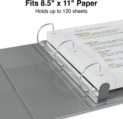 Staples Heavy-Duty 2-Inch D-Ring View Binder, Reinforced Spine, Holds Up to 450 Sheets, Gray, for Office & School