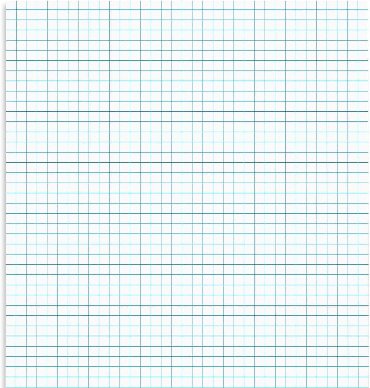 STAPLES Graph Pad, 11” x 17”, Graph Ruled, White, 50 Sheets/Pad