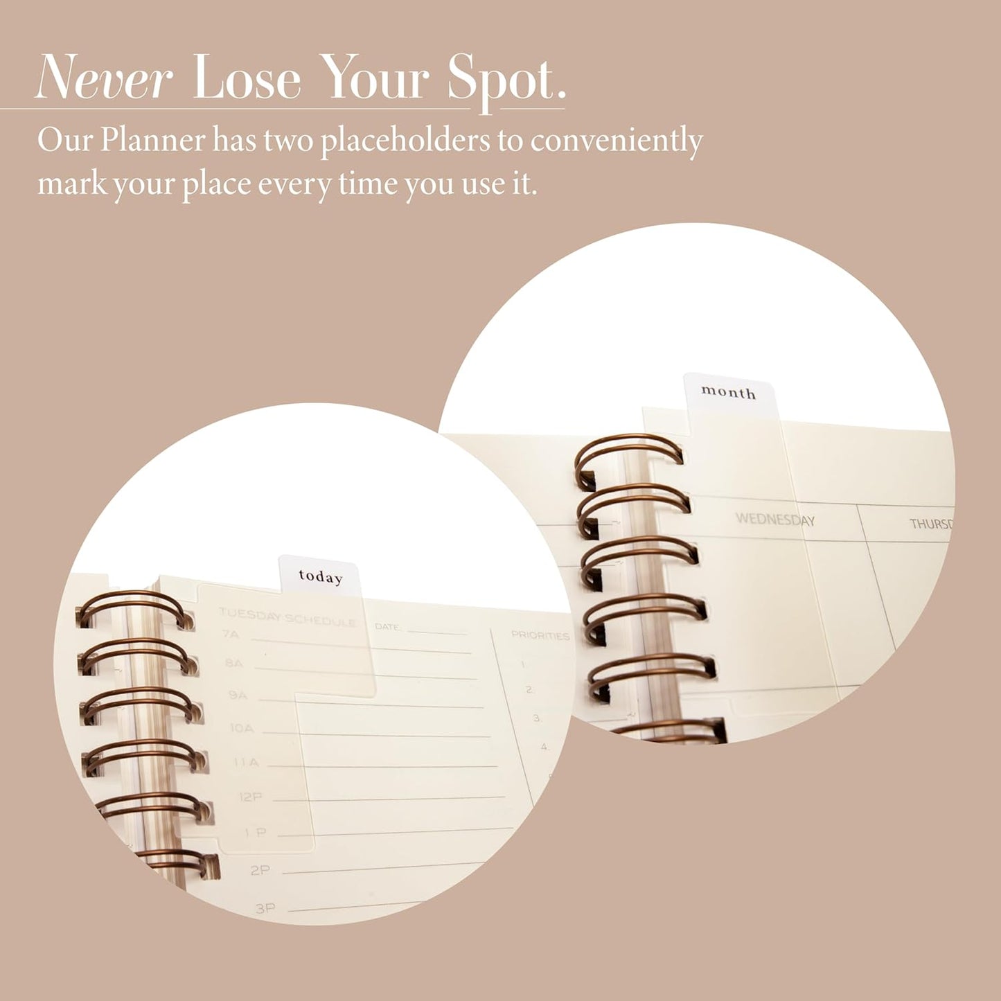 Anecdote Daily Planner w/ 2026-2027 Calendar | Start Anytime 26 Weeks Undated | 1 Page per Day | 8.5" x 5.2" | Hardcover To-Do List Organizer, Plan Your Success, Achieve Productivity Goals (Evergreen)