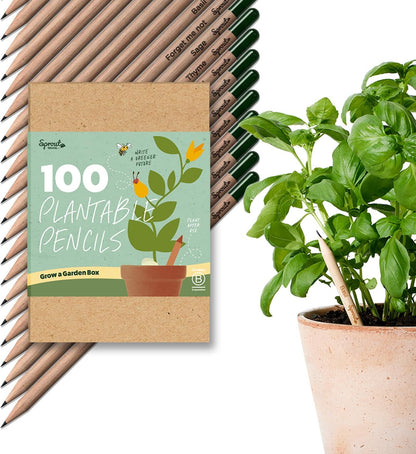 SproutWorld Wood-Cased Pencils | Teacher's Edition | HB Pre-Sharpened Graphite Plantable Wooden Pencils with flower, Herb & Vegetable Seeds | Gift for Teachers | 32 Pack