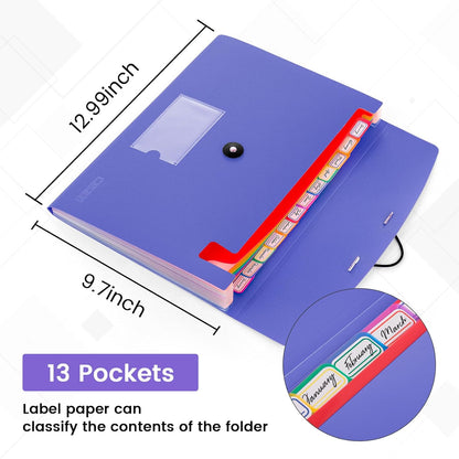 13 Pocket Expanding File Folder Accordian File Organizer, A4 Letter Size Paper Document Receipt Holder for School Office Supplies, Black