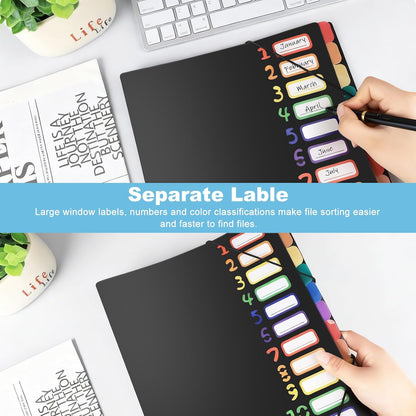 2 Pack Expanding File Folder with 12 Pockets: A4 Accordion Document Organizer with Elastic Closure & Rainbow Tabs, Portable PP Plastic File Holder for Office, School, Home