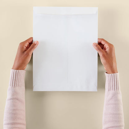 Amazon Basics Catalog Mailing Envelopes, Peel and Seal, 9" x 12", Brown Kraft, 100-Pack