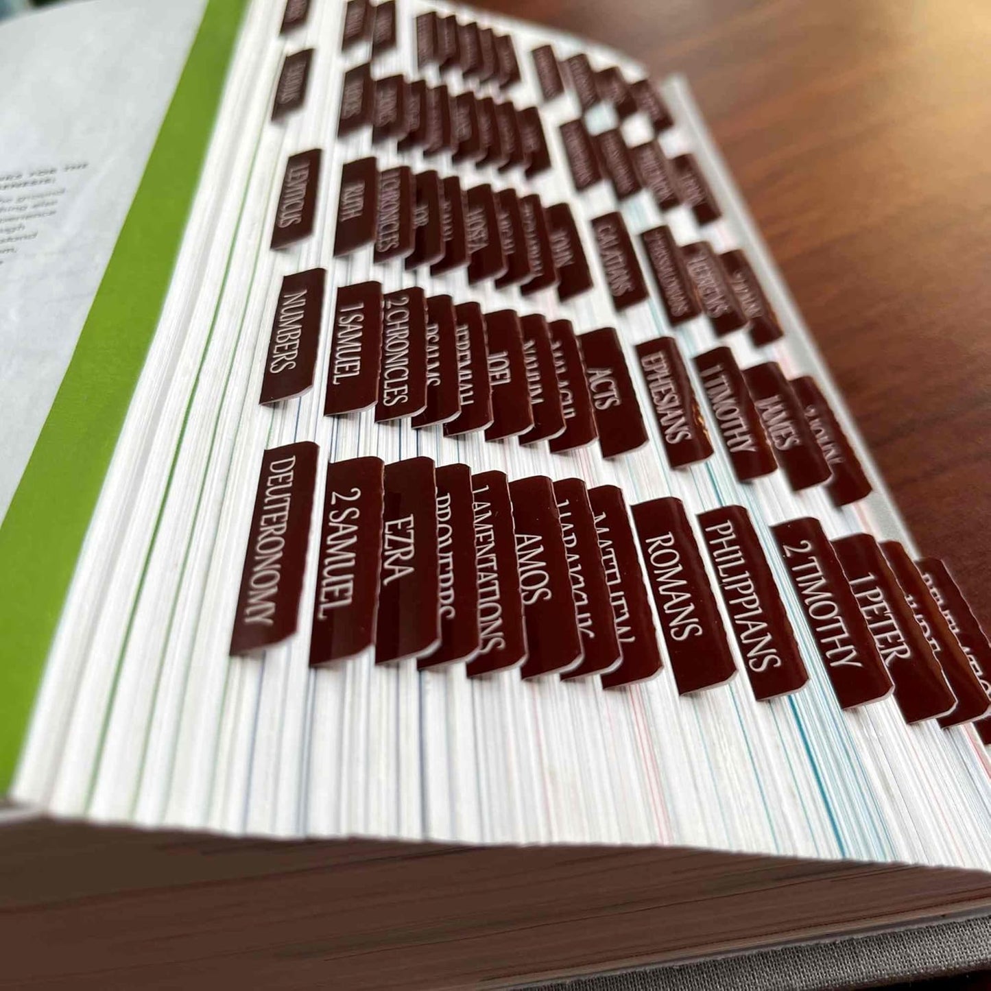 Thinkor Reposition Laminated Bible Tabs, Large Print Stickers, Easy to Read & Apply Bible Tabs for Women & Man (Earthy Brown)