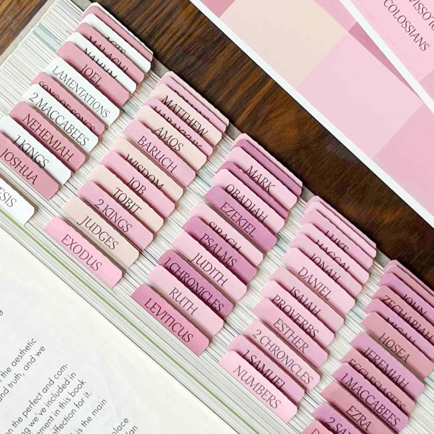 Thinkor- Repositionable Bible Tabs, 66 Pink Theme Laminated Tabs for Women, Thinkor for Study Bible