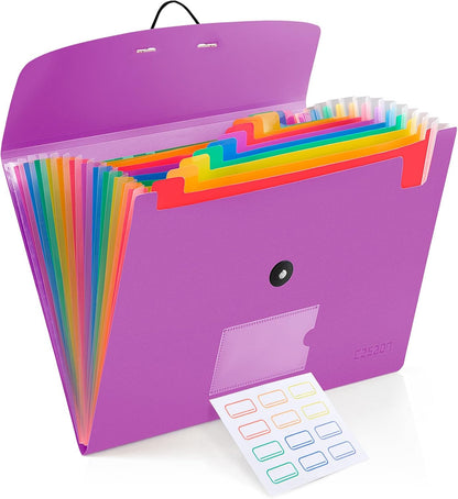 13 Pocket Expanding File Folder Accordian File Organizer, A4 Letter Size Paper Document Receipt Holder for School Office Supplies, Black