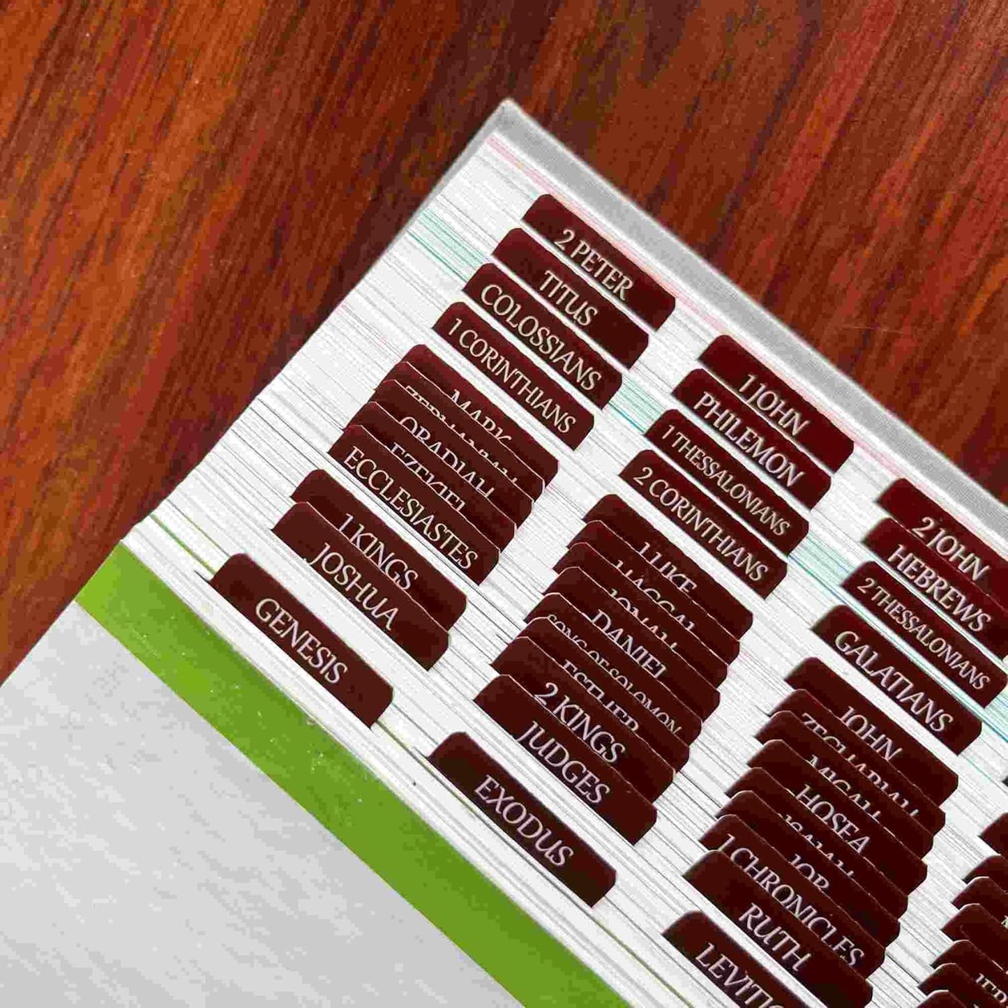 Thinkor Reposition Laminated Bible Tabs, Large Print Stickers, Easy to Read & Apply Bible Tabs for Women & Man (Earthy Brown)